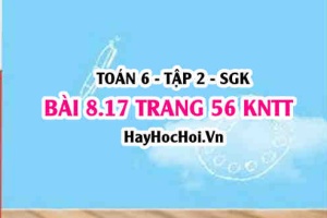 Bài 8.17 trang 56 Toán 6 Tập 2 Kết nối tri thức